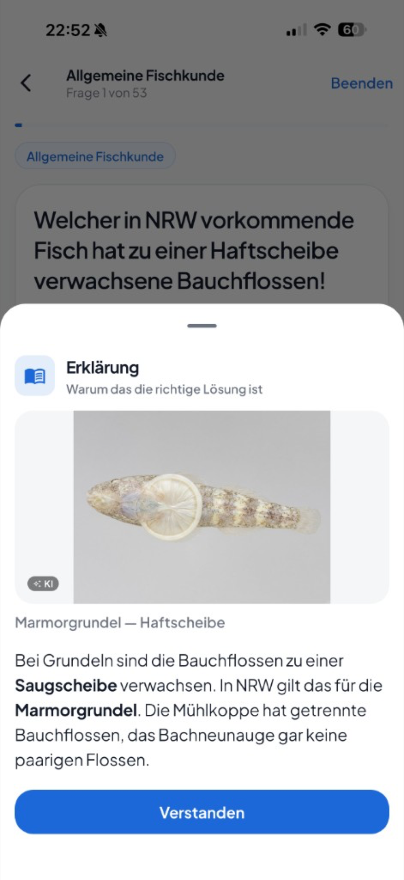 FischFit — Erklärung nach einer beantworteten Frage