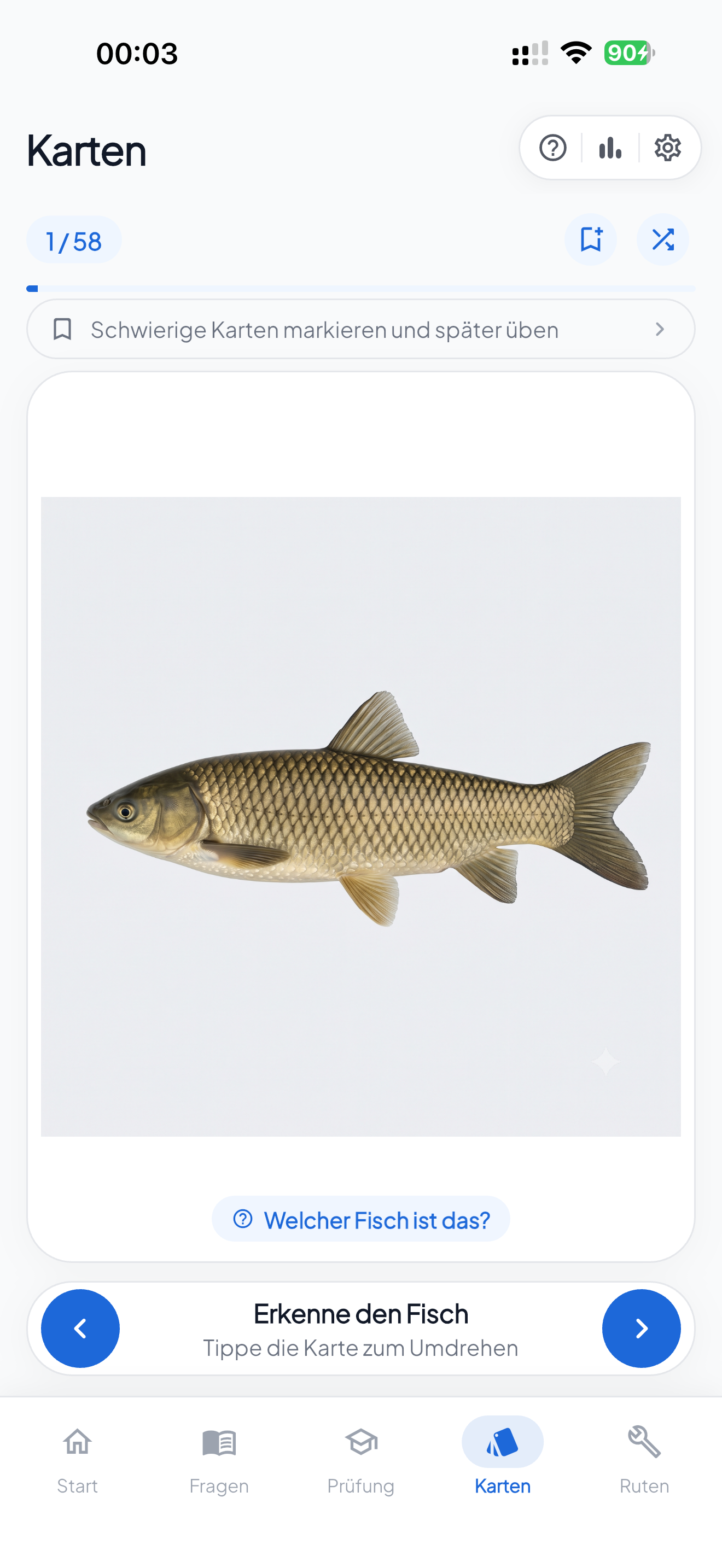 FischFit — Lernkarten zur Fisch-Benennung
